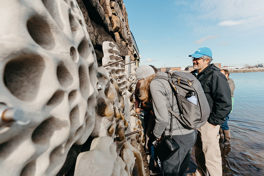 visitors examine the living seawall at Stone Living Lab